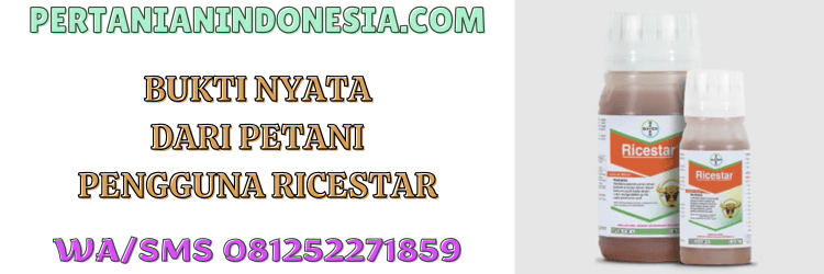 bukti,nyata,penggunaan,pengaplikasian,pertanian indonesia